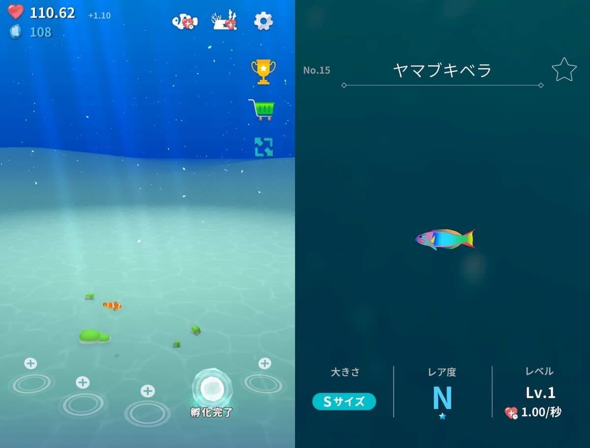 ポケットアクアリウム　紹介画像