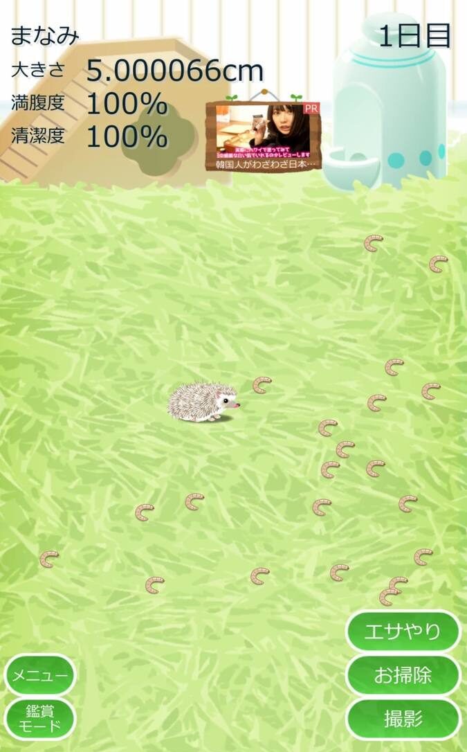 癒しのハリネズミ育成ゲーム　紹介画像