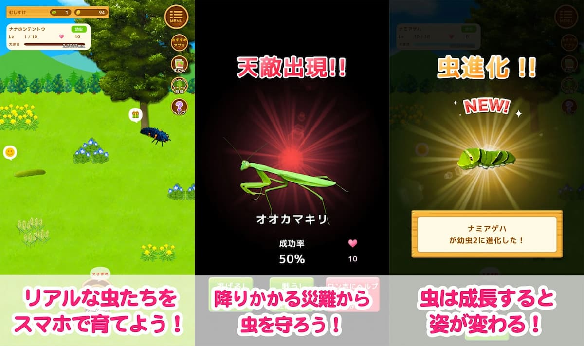 むしいく 紹介写真