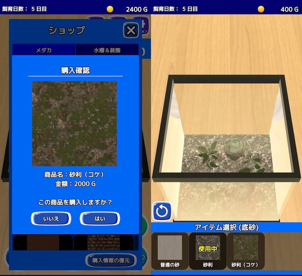メダカブリーダー 水槽レイアウト 