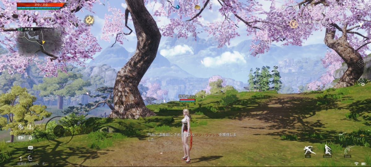 ブレイドアンドソウル2　桜咲くフィールドを冒険する写真